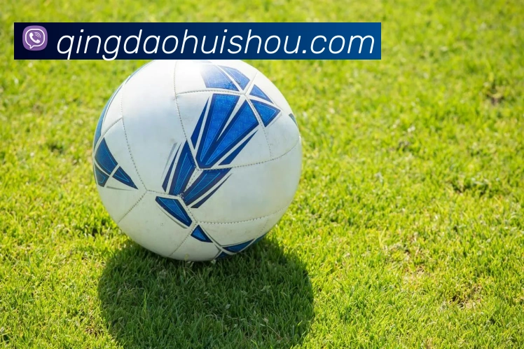 App Interface Preview